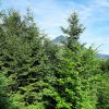 kirchmuehlerkogel-05