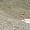 Livigno-Parkhütte Varusch