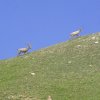 Livigno-Parkhütte Varusch