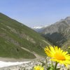Livigno-Parkhütte Varusch