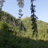 Mannsberg