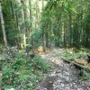 Mannsberg