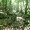 Mannsberg