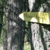 Mannsberg