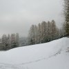 Mittagstein-Gradnalm