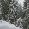 Mittagstein-Gradnalm