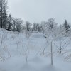 Mittagstein-Gradnalm