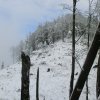 Mittagstein-Gradnalm