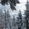 Mittagstein-Gradnalm