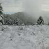Mittagstein-Gradnalm