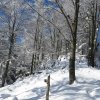 Mittagstein-Gradnalm