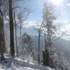 Mittagstein-Gradnalm