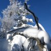 Mittagstein-Gradnalm