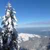 Mittagstein-Gradnalm