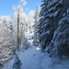 Mittagstein-Gradnalm