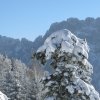 Mittagstein-Gradnalm