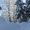 Mittagstein-Gradnalm