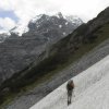 Payerhütte-Stilfserjoch