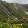 Payerhütte-Stilfserjoch
