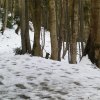 Perneckerkogel