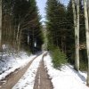 Perneckerkogel