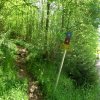 Poppenberg