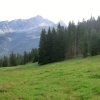 Schweiz 2014 Tag 4