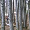 Schabenreithnerstein-2011