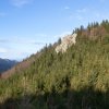 Schabenreithnerstein-2011