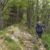 Schieferstein