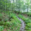 Schneiderberg