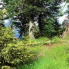 Schneiderberg