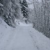 Schoberstein