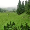 Schwalbenmauer und Jausenkogel