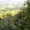 Seespitz