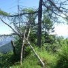 Signalkogel