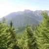 Signalkogel