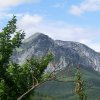Signalkogel