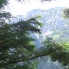Signalkogel