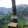 Signalkogel