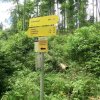 Signalkogel