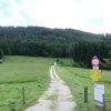 Signalkogel
