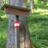 Spering