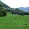 Spitzstein