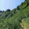 Stein am Mandl