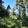 steineck_ueberquerung-03