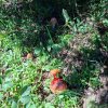 steineck_ueberquerung-17