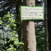 steineck_ueberquerung-19