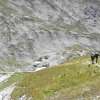 Steirische Kalkspitze