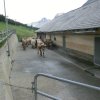 Stilfserjoch-Alpe Mora